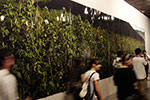 Zheng Yunhan, Sunflower Plan, Digital photo installation, 2008. © the artist.